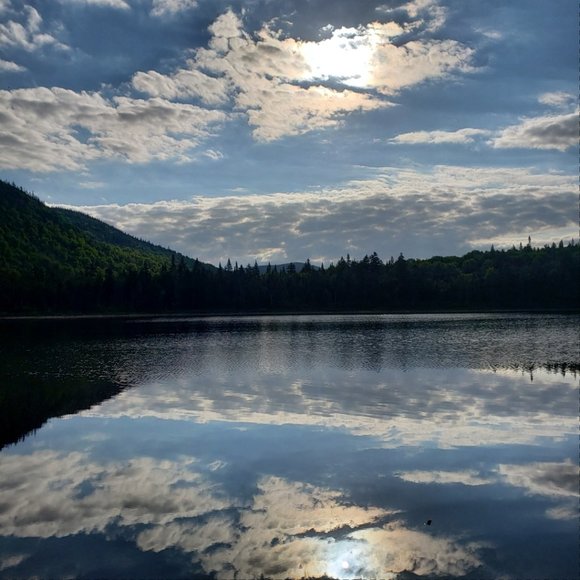 Meet your Posher, Kelly - Picture 6 of 9